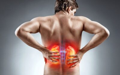 Giver dine nyrer dig ondt i ryggen?